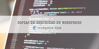 Cómo hacer copias de seguridad en Wordpress