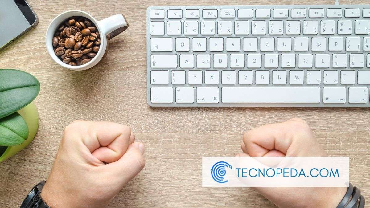 Recuperar archivos borrados con Stella Data Recovery