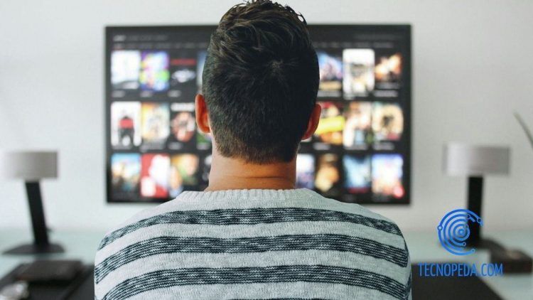 hombre de espalada viendo la televisión
