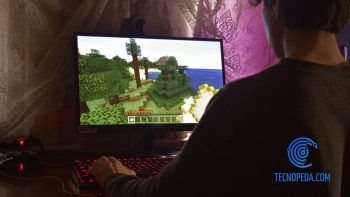 Niño jugando al minecraft