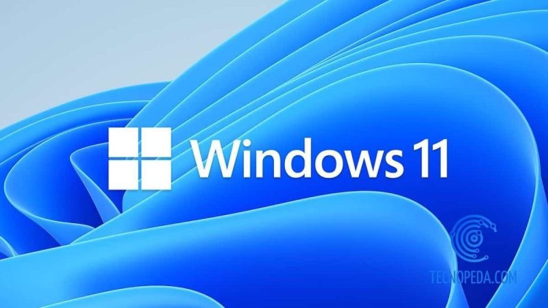 Wallpaper de Windows11