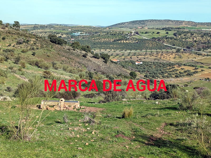 quitar la marca de agua de esta imagen