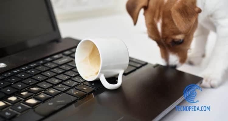 teclado mojado al derramar un perro una taza de infusión sobre el portátil