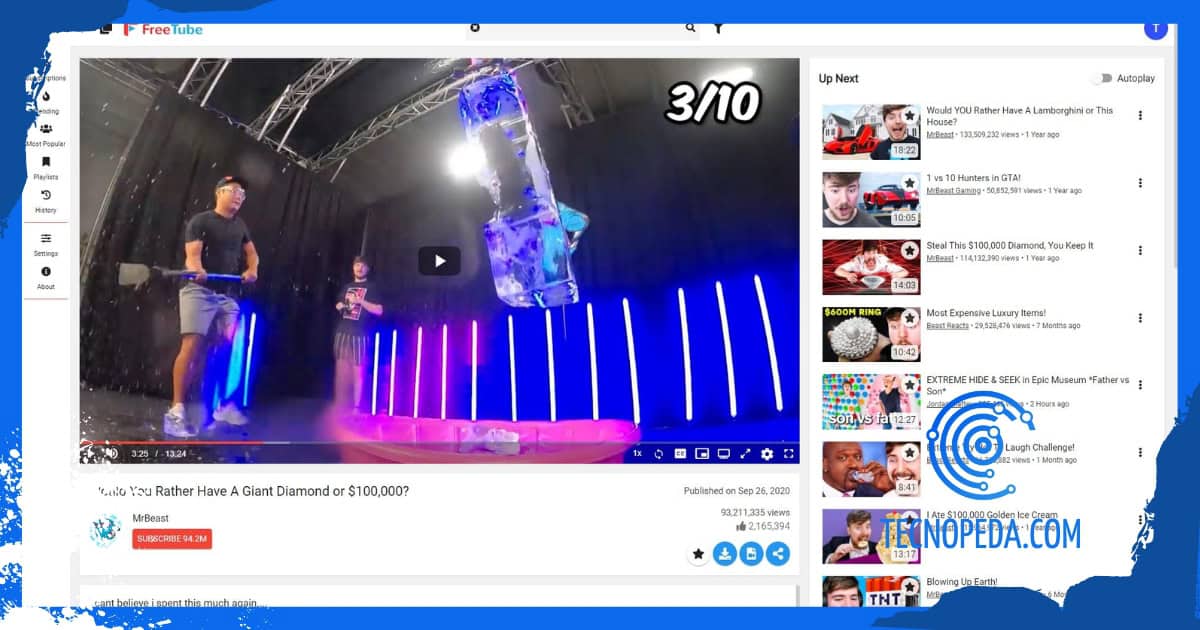 Imagen de un vídeo en Freetube