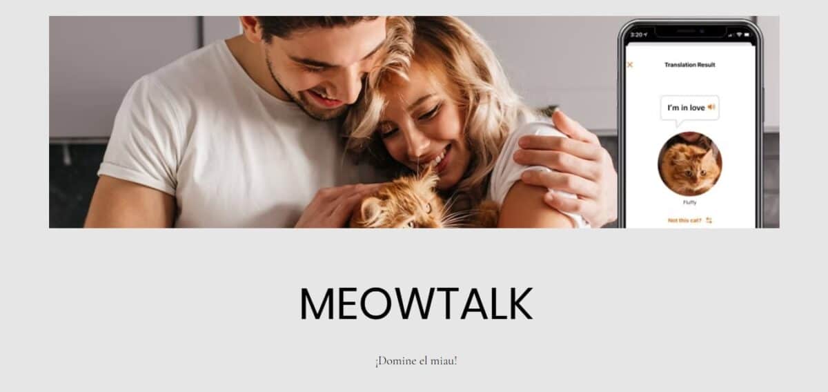 imagen de meowtalk un traductor de gatos