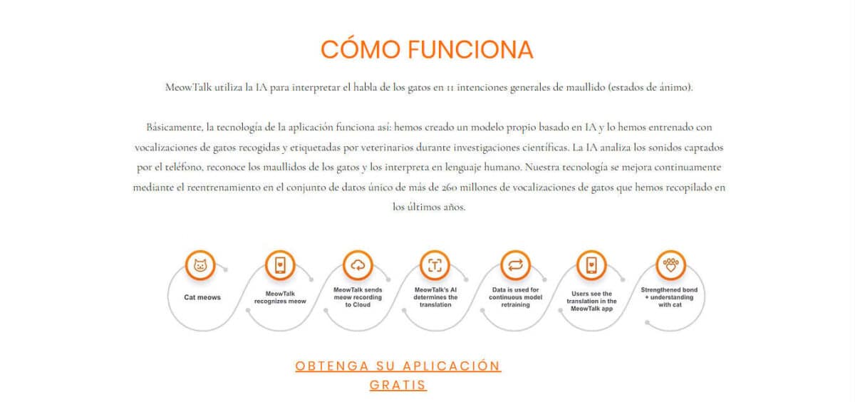 como funciona meowtalk, el traductor de gatos
